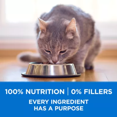 Product Purina ONE Dry Cat Food +Plus Tailored Formulas - Salmon and Ocean Whitefish, 3 kg