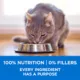 Product Purina ONE Dry Cat Food +Plus Tailored Formulas - Salmon and Ocean Whitefish, 3 kg
