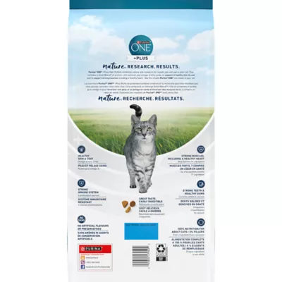 Product Purina ONE Dry Cat Food +Plus Tailored Formulas - Salmon and Ocean Whitefish, 3 kg