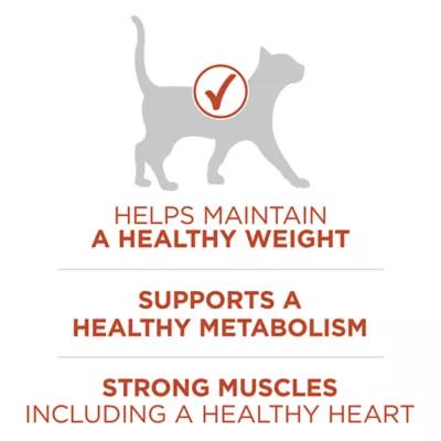 Product Purina ONE Dry Cat Food Plus High Protein - Chicken Formula, 1.8 kg