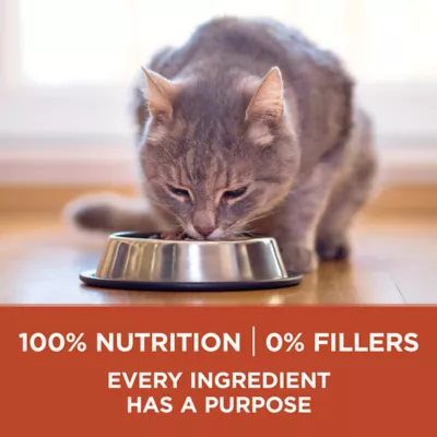Product Purina ONE Dry Cat Food Plus High Protein - Chicken Formula, 1.8 kg