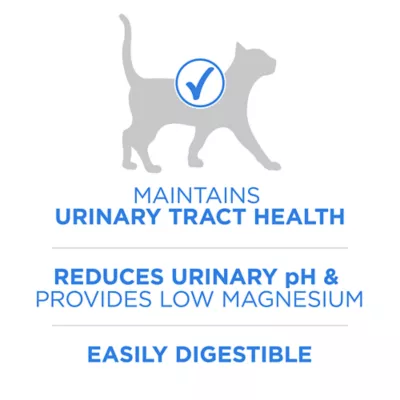 Product Purina ONE +Plus Dry Cat Food Urinary Tract Formula - Chicken, 3 kg