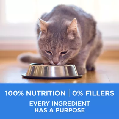 Product Purina ONE +Plus Dry Cat Food Urinary Tract Formula - Chicken, 3 kg