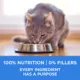 Product Purina ONE +Plus Dry Cat Food Urinary Tract Formula - Chicken, 3 kg
