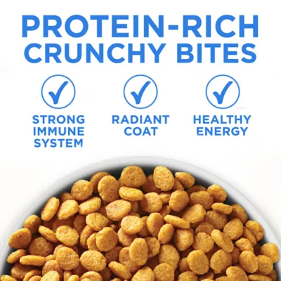 Product Purina ONE +Plus Dry Cat Food Urinary Tract Formula - Chicken, 3 kg
