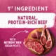 Product Beyond Wet Dog Food - Wild Beef, Liver & Lamb Recipe