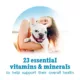 Product Beneful Incredibites Small Dog Wet Food - Beef