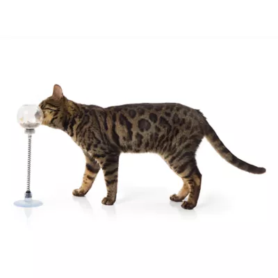 Product Whisker City® Suction Cup Treat-Dispensing Swatter