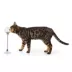 Whisker City® Suction Cup Treat-Dispensing Swatter image thumbnail 3