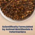 Blue Buffalo Life Protection Formula Salmon Adult Dry Dog Food, Chicken Free image thumbnail 7