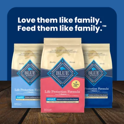 Blue Buffalo Life Protection Formula Salmon Adult Dry Dog Food, Chicken Free - Image 10