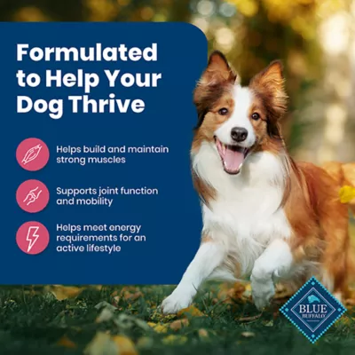 Product Blue Buffalo Life Protection Formula Adult Dry Dog Food - Salmon & Rice
