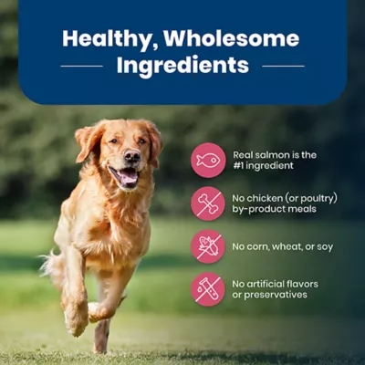 Product Blue Buffalo Life Protection Formula Adult Dry Dog Food - Salmon & Rice