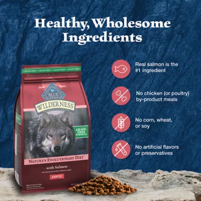 Product Blue Buffalo Wilderness Nature's Evolutionary Diet Adult Dog Dry Food - Grain Free, Salmon