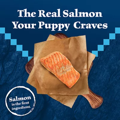 Product Blue Buffalo Wilderness Nature's Evolutionary Diet Puppy Dry Dog Food - Salmon