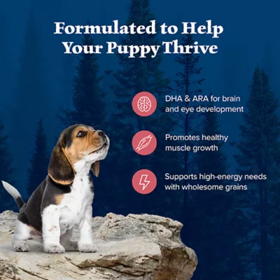 Product Blue Buffalo Wilderness Nature's Evolutionary Diet Puppy Dry Dog Food - Salmon