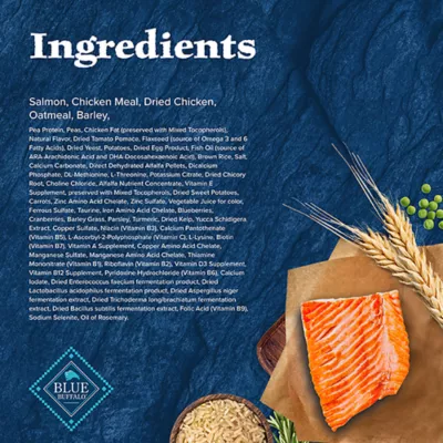 Product Blue Buffalo Wilderness Nature's Evolutionary Diet Puppy Dry Dog Food - Salmon