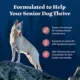 Product Blue Buffalo Wilderness Nature's Evolutionary Diet Senior Dry Dog Food - Salmon