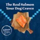 Product Blue Buffalo Wilderness Nature's Evolutionary Diet Senior Dry Dog Food - Salmon