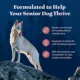 Product Blue Buffalo Wilderness Nature's Evolutionary Diet Senior Dry Dog Food - Salmon