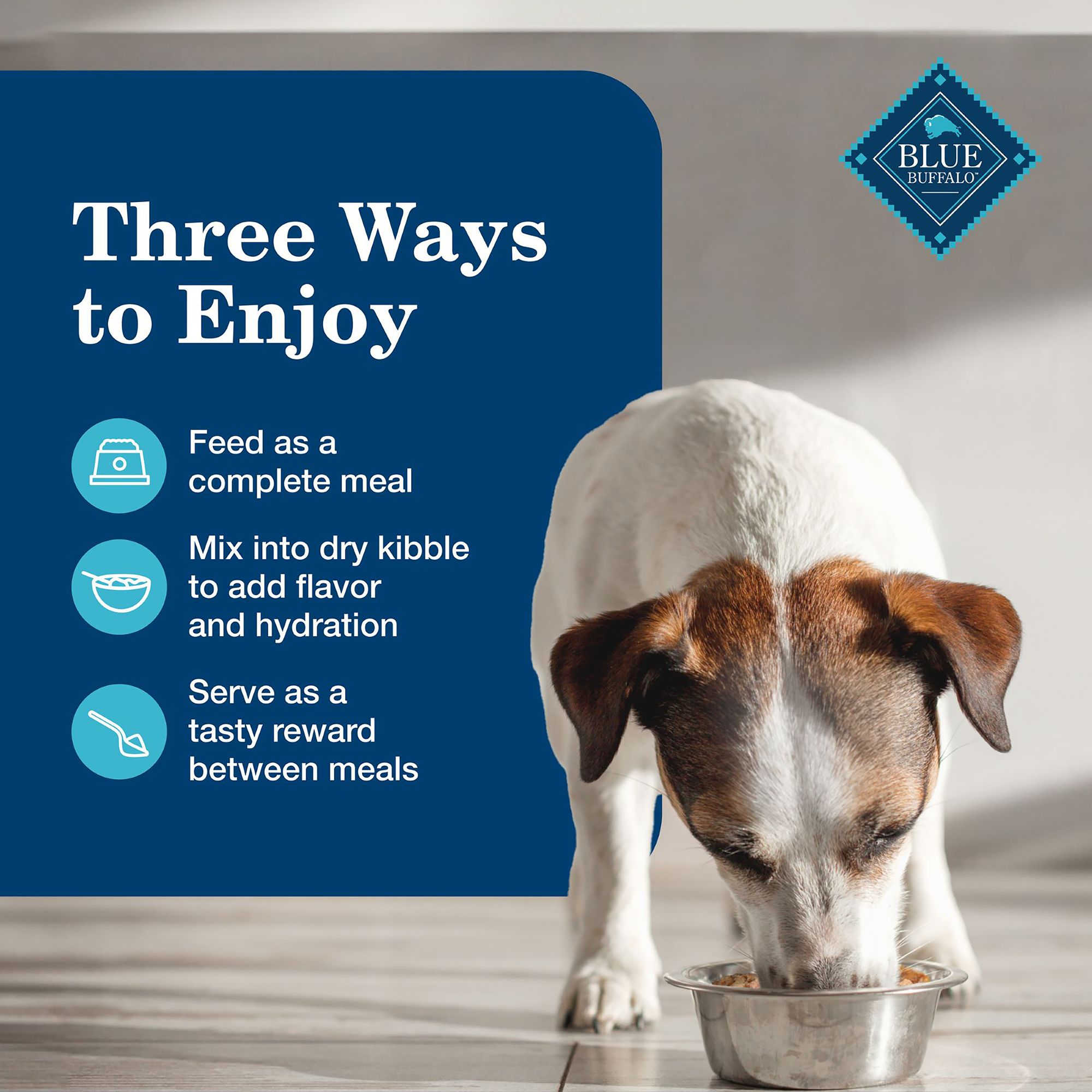 Blue Buffalo Homestyle Recipe Variety Pack Senior 7+ Wet Dog