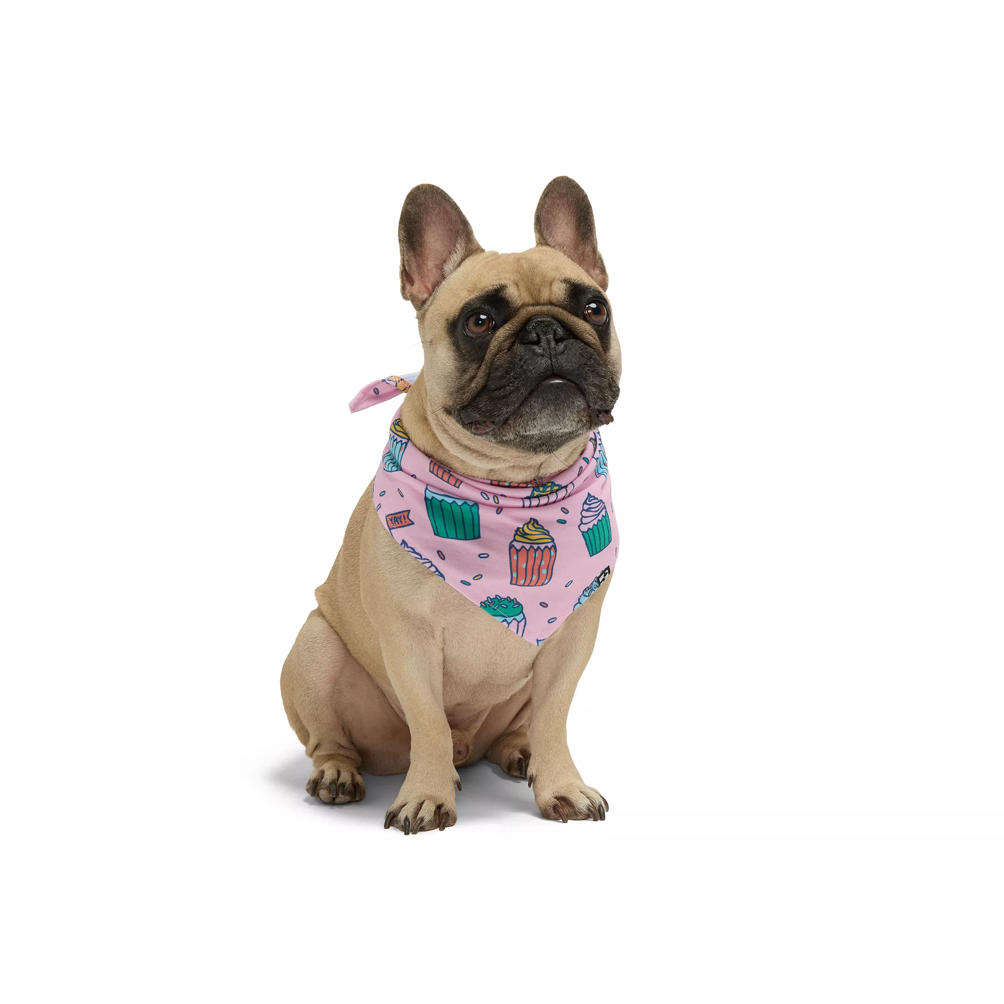 Hotel Doggy Birthday Theme Cupcake Dog Bandana - Pink