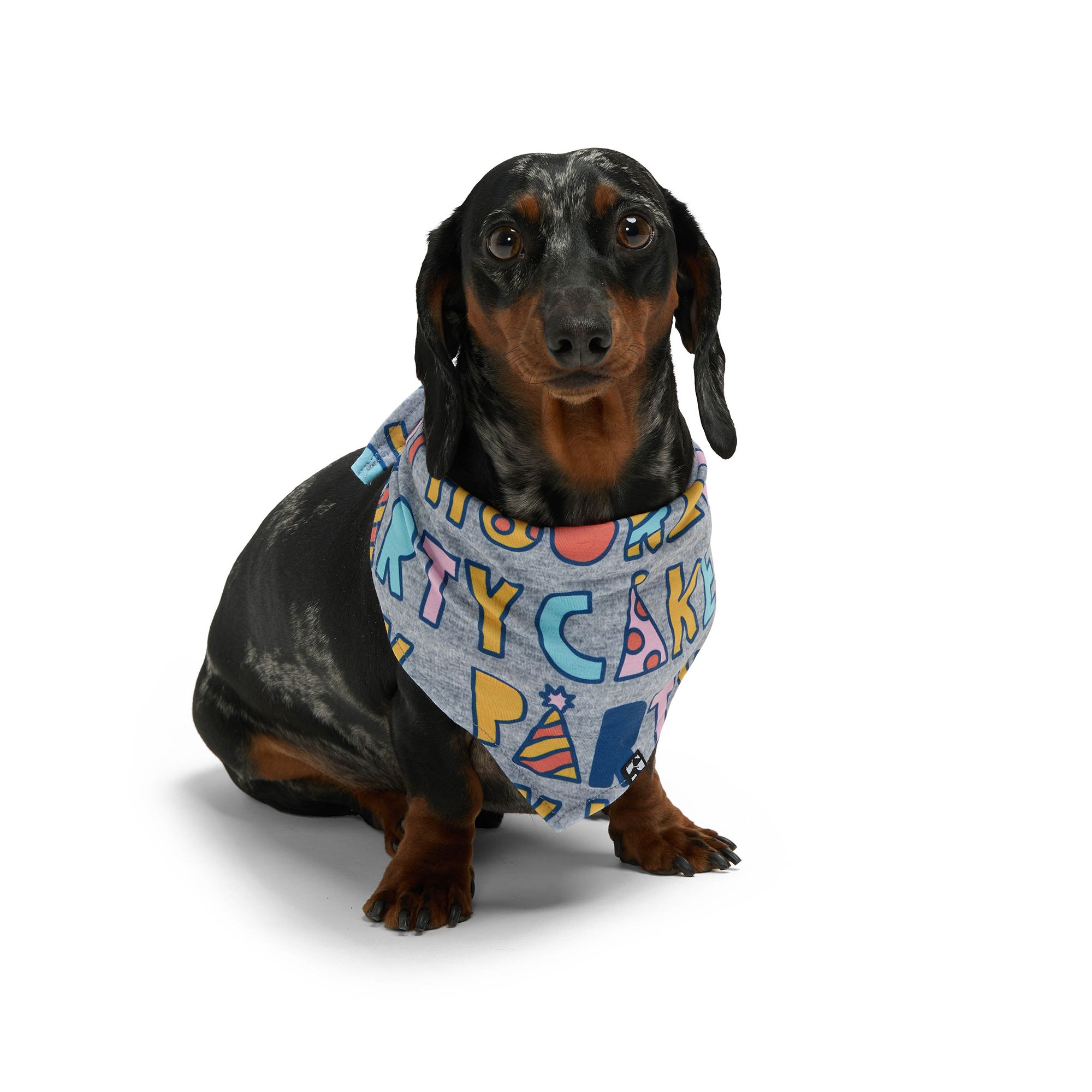 Dachshund Pet Bandana - Multi Dachshund Pet Bandana - Multi