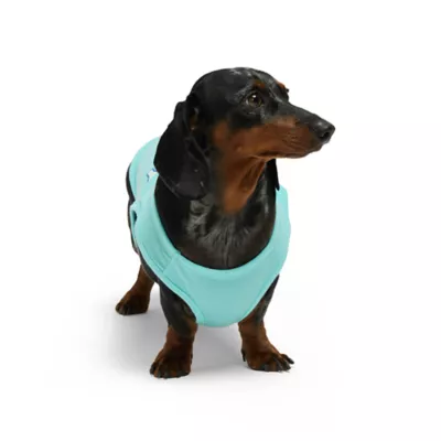 Product Hotel Doggy Birthday Theme "Party Animal" Dog Tank Top - Blue