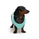 Product Hotel Doggy Birthday Theme "Party Animal" Dog Tank Top - Blue