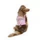 Product Hotel Doggy Birthday Theme "Happy Barkday" Dog Tank Top - Pink