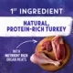 Product Beyond Wild Wet Dog Food - Wild Turkey, Liver & Duck Recipe