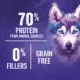 Product Beyond Wild Dry Dog Food - Turkey, Egg & Bone Broth Recipe