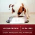 Purina ONE True Instinct Dry Puppy Food - Chicken & Duck Recipe 1.72 Kg image thumbnail 5