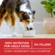 Product Purina ONE Dry Dog Food - Beef & Rice Formula, 6.8 kg