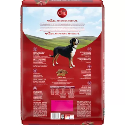Product Purina ONE Dry Dog Food - Beef & Rice Formula, 6.8 kg