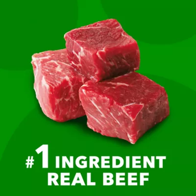 Product IAMS Proactive Health Dog Food Beef and Rice