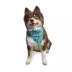Hip Doggie Reversible Bandana image thumbnail 4