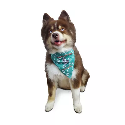 Hip Doggie Reversible Bandana - Image 4