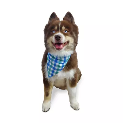 Hip Doggie Reversible Bandana - Image 5