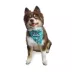 Hip Doggie Reversible Bandana image thumbnail 4