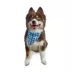 Hip Doggie Reversible Bandana image thumbnail 5