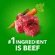 Product IAMS Proactive Health Adult Dry Dog Food - Beef & Rice
