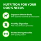 Product IAMS Proactive Health Adult Dry Dog Food - Beef & Rice