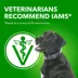 IAMS Proactive Health Adult Dry Dog Food - Beef & Rice image thumbnail 6