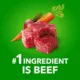 Product IAMS Adult Dry Dog Food - Beef and Rice Recipe