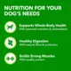 Product IAMS Adult Dry Dog Food - Beef and Rice Recipe