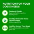 IAMS Wet Puppy Food - Classic Ground Chicken and Rice Recipe image thumbnail 3