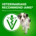 IAMS Wet Puppy Food - Classic Ground Chicken and Rice Recipe image thumbnail 6