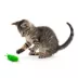 Playology® Grasshoppers Cat Toy, 2PK image thumbnail 3