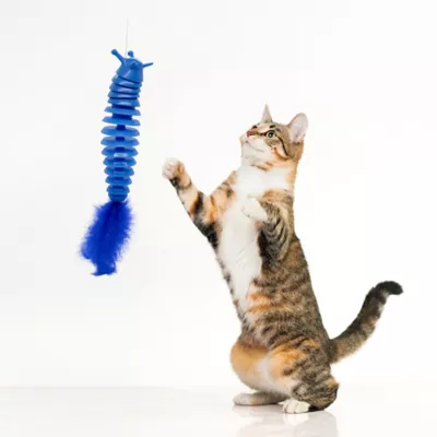 Product Playology® Slug Teaser Cat Toy